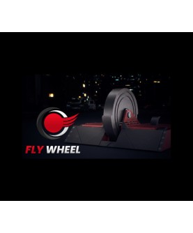 Fly Wheel Steam Key GLOBAL